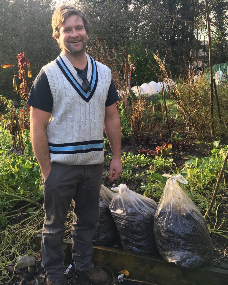 When it comes to feeding the soil, cow manure just can’t be beaten