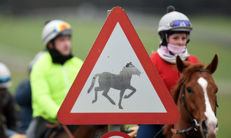 Equine flu outbreak spreads with 174 racing stables now in lockdown