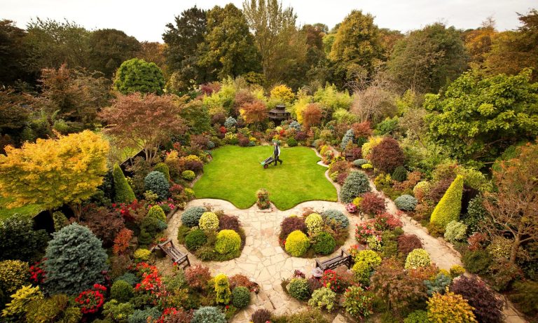 Growing pains: how the climate crisis is changing British gardens