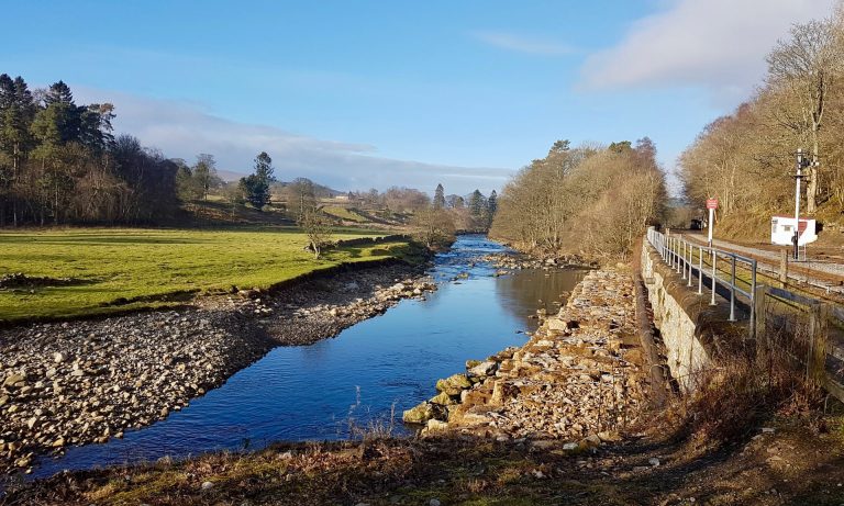 Country diary: a midwinter walk along the South Tyne trail
