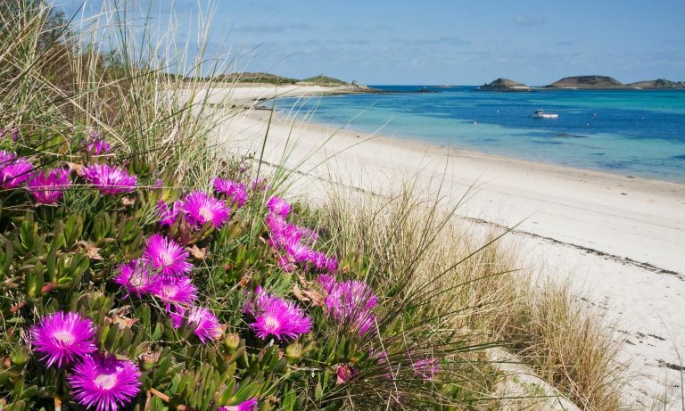 Scilly season: why spring is the best time to visit
