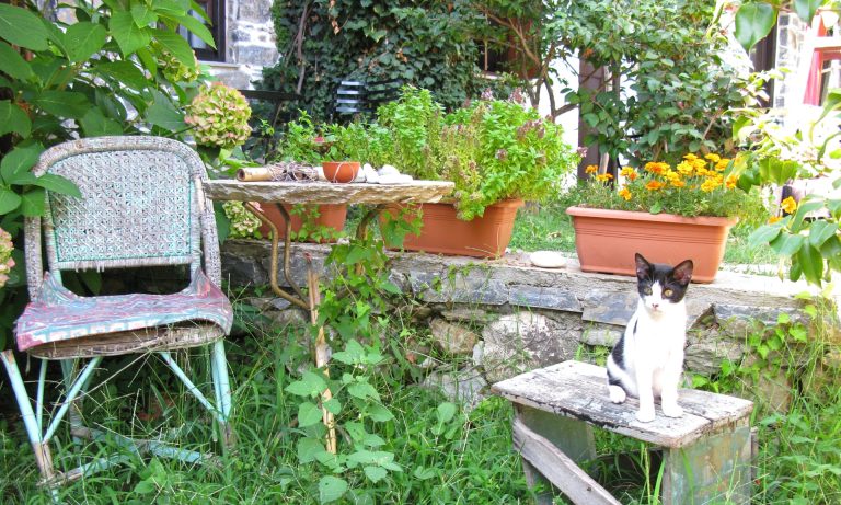 In praise of unrenovated kitchens and overgrown gardens