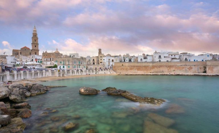 A New Coral Reef Was Just Discovered Off the Coast of Italy