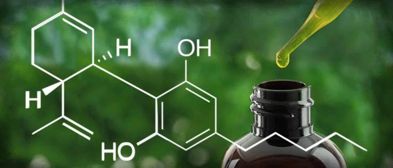 CBD Oil – Is It Really Healthy?