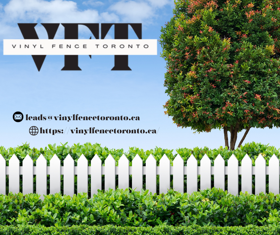 VFT-imagee